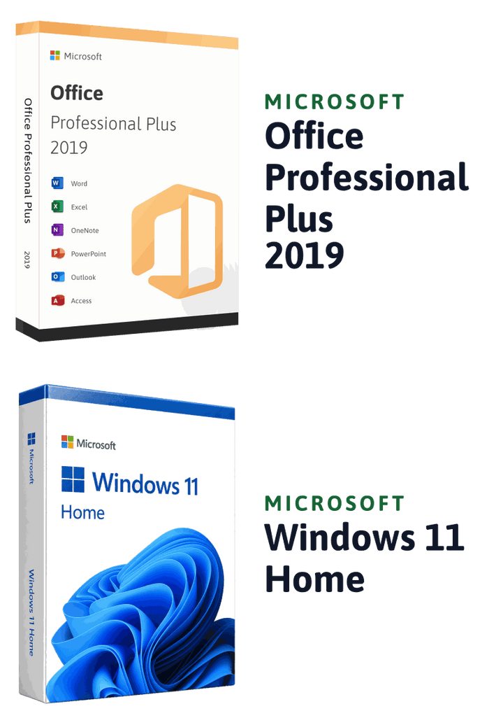 Microsoft Windows 11 Home + Microsoft Office 2019 Professional Plus