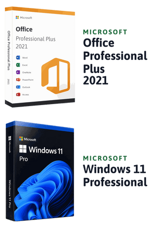 Microsoft Windows 11 Professional + Microsoft Office 2021 Professional Plus